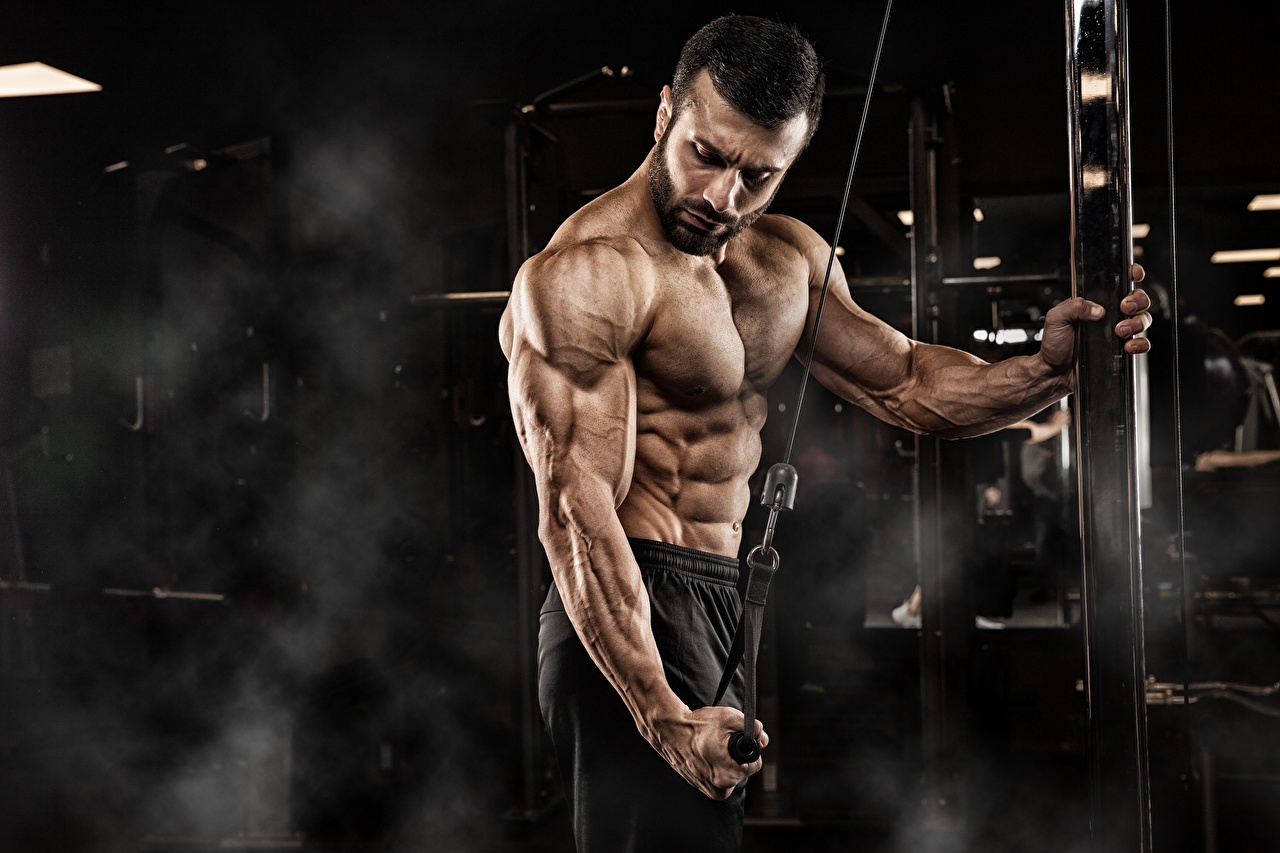 Embracing Evolution: The Future of Fitness with Testosterone Supplements